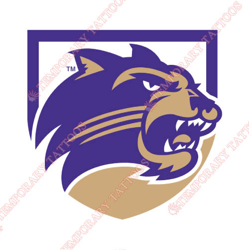 Western Carolina Catamounts Customize Temporary Tattoos Stickers NO.6957
